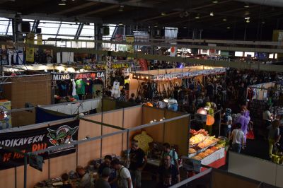 DSC_0221.JPG